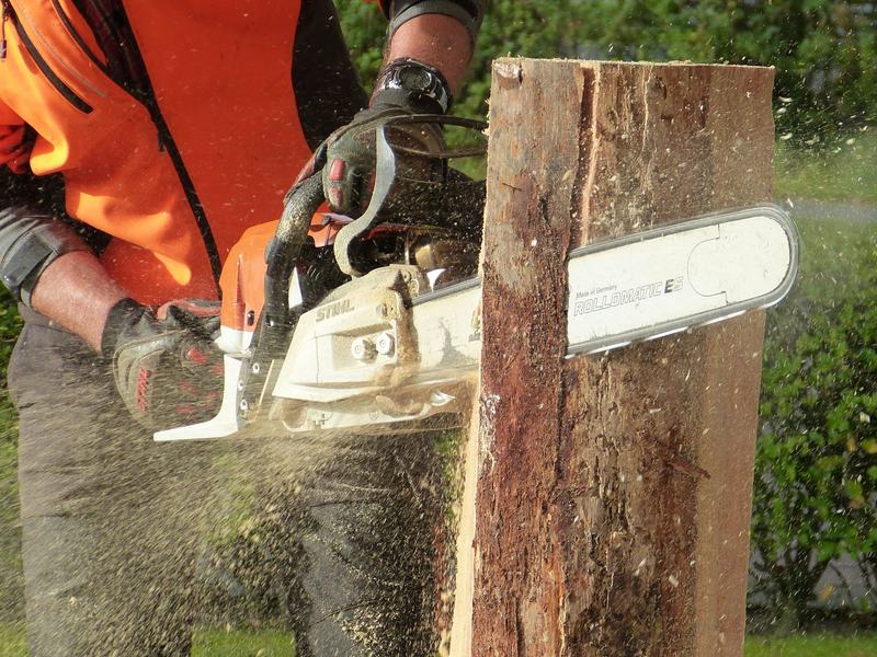 Tree removal project in Iowa City, IA