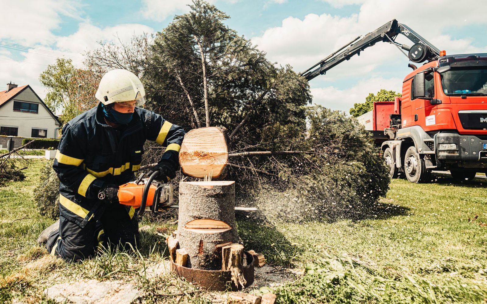 Tree removal in Iowa City, IA by Iowa City Tree Pros